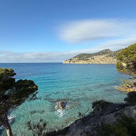Poolvilla Patricia - Camp De Mar Andraitx Dış mekan fotoğraf
