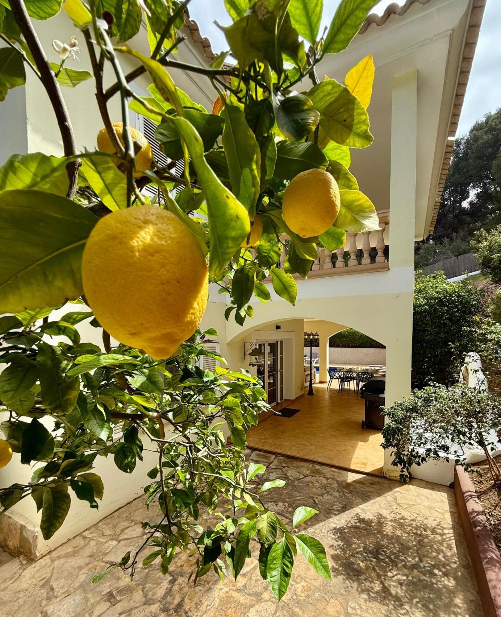 Poolvilla Patricia - Camp De Mar Andraitx Dış mekan fotoğraf